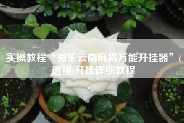 实操教程“微乐云南麻将万能开挂器”(透视)开挂详细教程