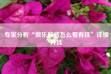 专家分析“微乐麻将怎么看有挂	”详细开挂
