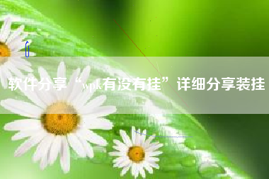 软件分享“wpk有没有挂”详细分享装挂