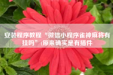 安装程序教程“微信小程序雀神麻将有挂吗”(原来确实是有插件