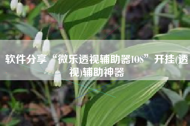 软件分享“微乐透视辅助器IOS”开挂(透视)辅助神器