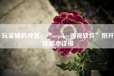 玩家辅助神器：“wepoker透视软件”附开挂脚本详细