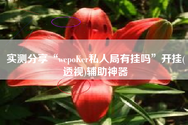 实测分享“wepoKer私人局有挂吗”开挂(透视)辅助神器