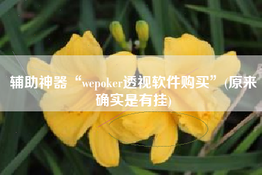辅助神器“wepoker透视软件购买	”(原来确实是有挂)