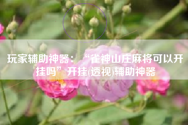 玩家辅助神器：“雀神山庄麻将可以开挂吗	”开挂(透视)辅助神器