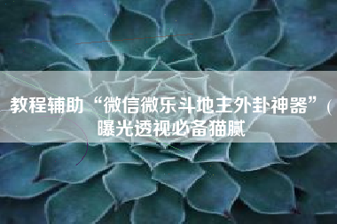 教程辅助“微信微乐斗地主外卦神器”(曝光透视必备猫腻