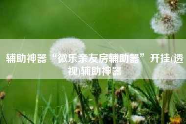 辅助神器“微乐亲友房辅助器”开挂(透视)辅助神器