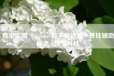 独家实测“wepoker能不能透视	”开挂辅助脚本+详细开挂