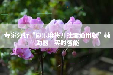 专家分析“微乐麻将开挂器通用版”辅助器 - 实时智能