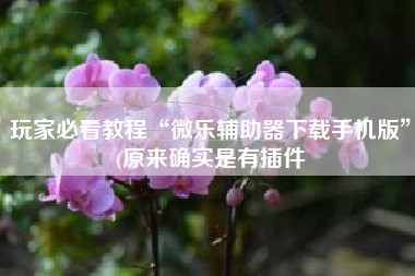 玩家必看教程“微乐辅助器下载手机版”(原来确实是有插件