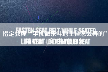 指定教程“手机微乐斗地主挂怎么弄的”辅助器 - 实时智能回复