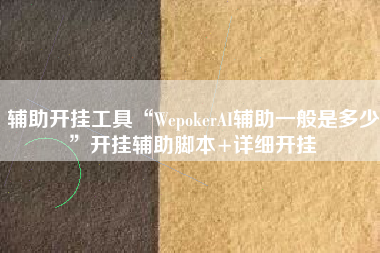 辅助开挂工具“WepokerAI辅助一般是多少	”开挂辅助脚本+详细开挂