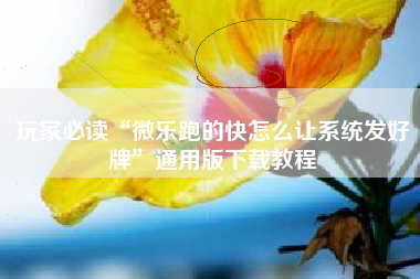 玩家必读“微乐跑的快怎么让系统发好牌	”通用版下载教程