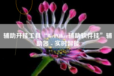 辅助开挂工具“WePOKer辅助软件挂	”辅助器 - 实时智能