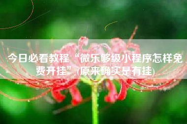 今日必看教程“微乐够级小程序怎样免费开挂”(原来确实是有挂)