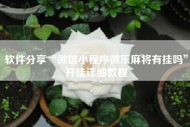 软件分享“微信小程序微乐麻将有挂吗	”开挂详细教程