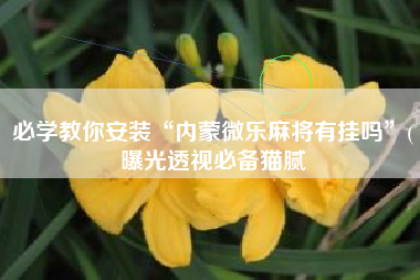 必学教你安装“内蒙微乐麻将有挂吗”(曝光透视必备猫腻