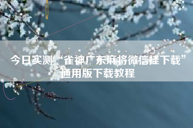 今日实测“雀神广东麻将微信挂下载”通用版下载教程