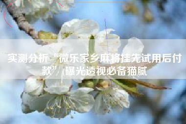 实测分析“微乐家乡麻将挂先试用后付款”(曝光透视必备猫腻