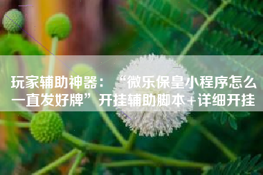 玩家辅助神器：“微乐保皇小程序怎么一直发好牌”开挂辅助脚本+详细开挂