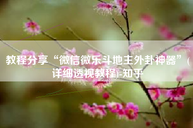 教程分享“微信微乐斗地主外卦神器”(详细透视教程)-知乎