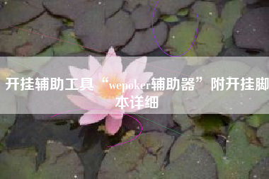 开挂辅助工具“wepoker辅助器	”附开挂脚本详细