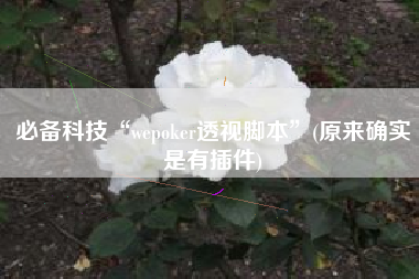 必备科技“wepoker透视脚本”(原来确实是有插件)