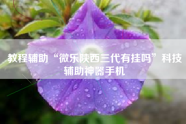 教程辅助“微乐陕西三代有挂吗”科技辅助神器手机