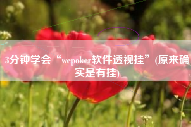 3分钟学会“wepoker软件透视挂”(原来确实是有挂)