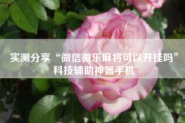 实测分享“微信微乐麻将可以开挂吗	”科技辅助神器手机