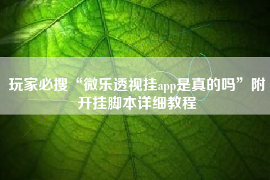 玩家必搜“微乐透视挂app是真的吗	”附开挂脚本详细教程