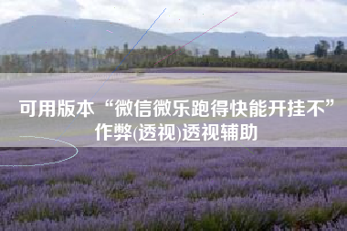 可用版本“微信微乐跑得快能开挂不”作弊(透视)透视辅助