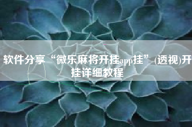 软件分享“微乐麻将开挂app挂”(透视)开挂详细教程