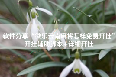 软件分享“微乐云南麻将怎样免费开挂”开挂辅助脚本+详细开挂