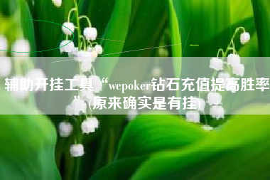 辅助开挂工具“wepoker钻石充值提高胜率”(原来确实是有挂)