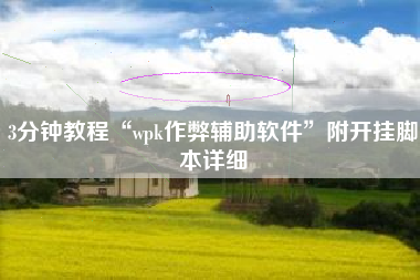 3分钟教程“wpk作弊辅助软件	”附开挂脚本详细