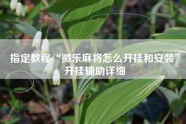 指定教程“微乐麻将怎么开挂和安装”开挂辅助详细