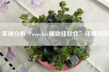 实测分析“wepoker辅助挂软件	”详细开挂