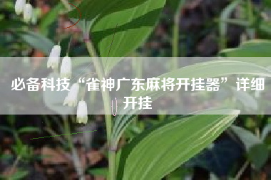 必备科技“雀神广东麻将开挂器”详细开挂