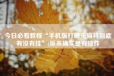 今日必看教程“手机版打微乐麻将到底有没有挂	”(原来确实是有插件