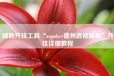 辅助开挂工具“aapoker德州透视辅助	”开挂详细教程
