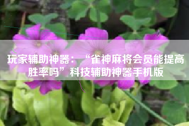 玩家辅助神器：“雀神麻将会员能提高胜率吗”科技辅助神器手机版