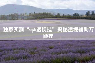 独家实测“wpk透视挂	”揭秘透视辅助万能挂