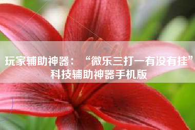 玩家辅助神器：“微乐三打一有没有挂	”科技辅助神器手机版