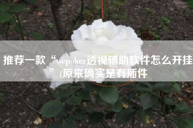 推荐一款“wepoker透视辅助软件怎么开挂”(原来确实是有插件