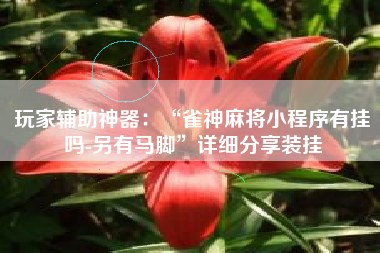 玩家辅助神器：“雀神麻将小程序有挂吗-另有马脚”详细分享装挂