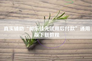 真实辅助“微乐挂先试用后付款”通用版下载教程