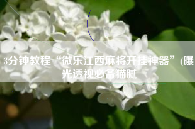 3分钟教程“微乐江西麻将开挂神器”(曝光透视必备猫腻