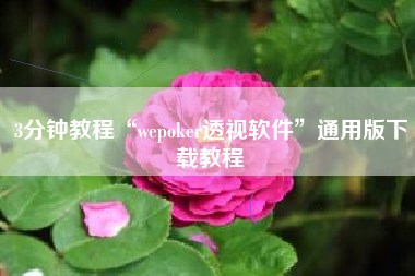 3分钟教程“wepoker透视软件	”通用版下载教程