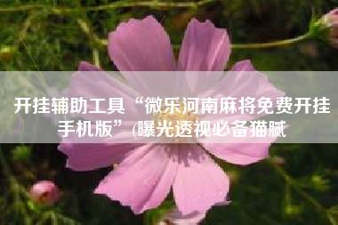 开挂辅助工具“微乐河南麻将免费开挂手机版”(曝光透视必备猫腻